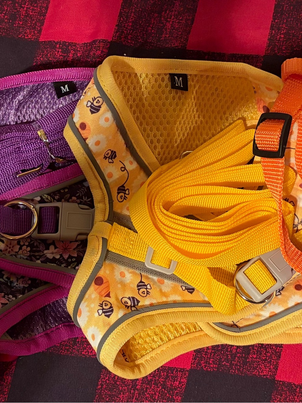 5 harnesses three with matching leash